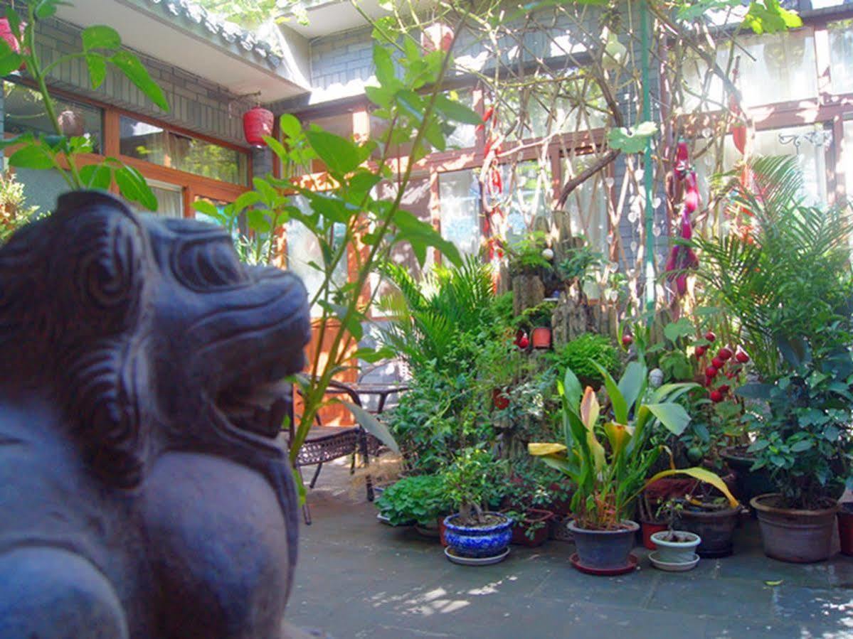 Beijing Courtyard View Hotel Exteriör bild